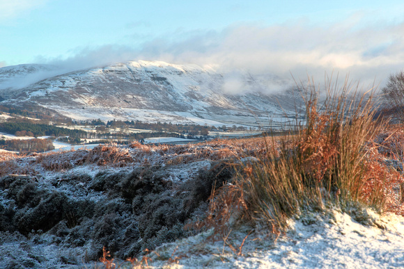 View South down the Blane Valley in December
