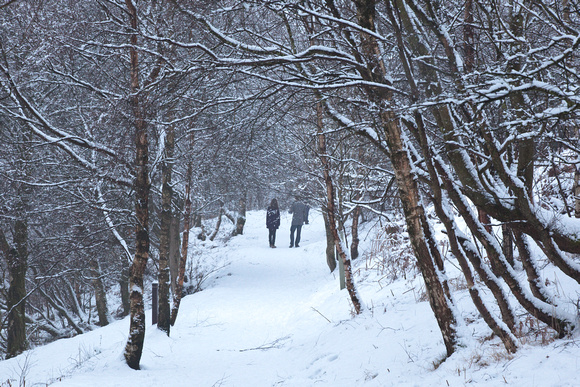 Snowy Walk by Lock Ardinning